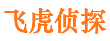 清新市婚姻调查